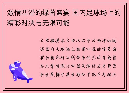 激情四溢的绿茵盛宴 国内足球场上的精彩对决与无限可能